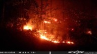 Buckabear wildfire grows to 200 acres in West Milford, 60% contained