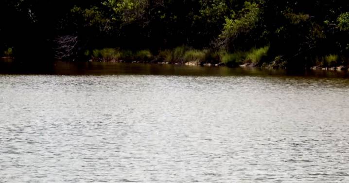 Blue-green algae treatment begins at Sawgrass Lakes community in Port St. Lucie