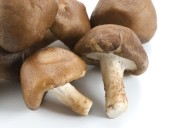 Discover 8 Health Benefits of Mushrooms for a Better Diet