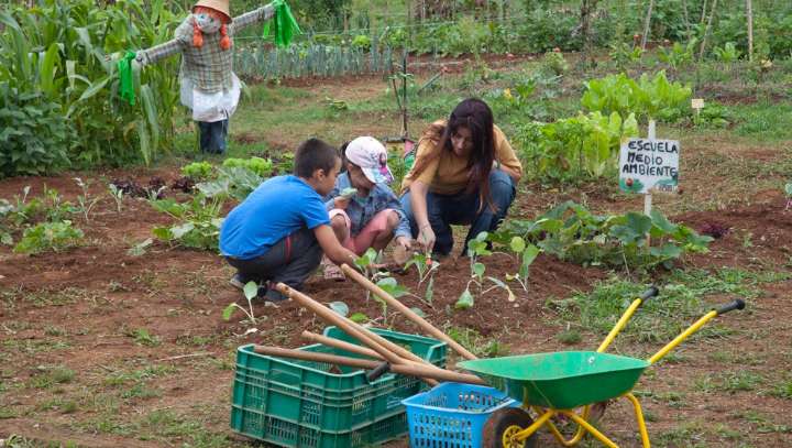 El Ayuntamiento celebrará el sábado 20 un taller familiar que aúna música clásica, ecología y arte