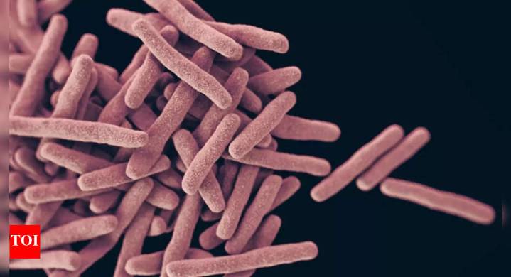 ‘Nightmare bacteria’ cases are on the rise in US; What is it and how to stay safe (early signs of infection and prevention tips inside)
