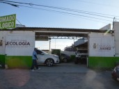 Sin “cacería de brujas”: vence mañana el plazo para portar engomado ecológico
