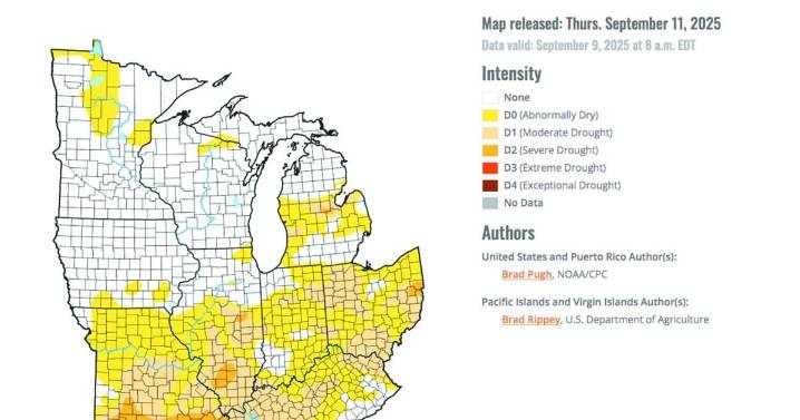Burn ban in effect for Murray/Calloway as county enters severe stage of drought