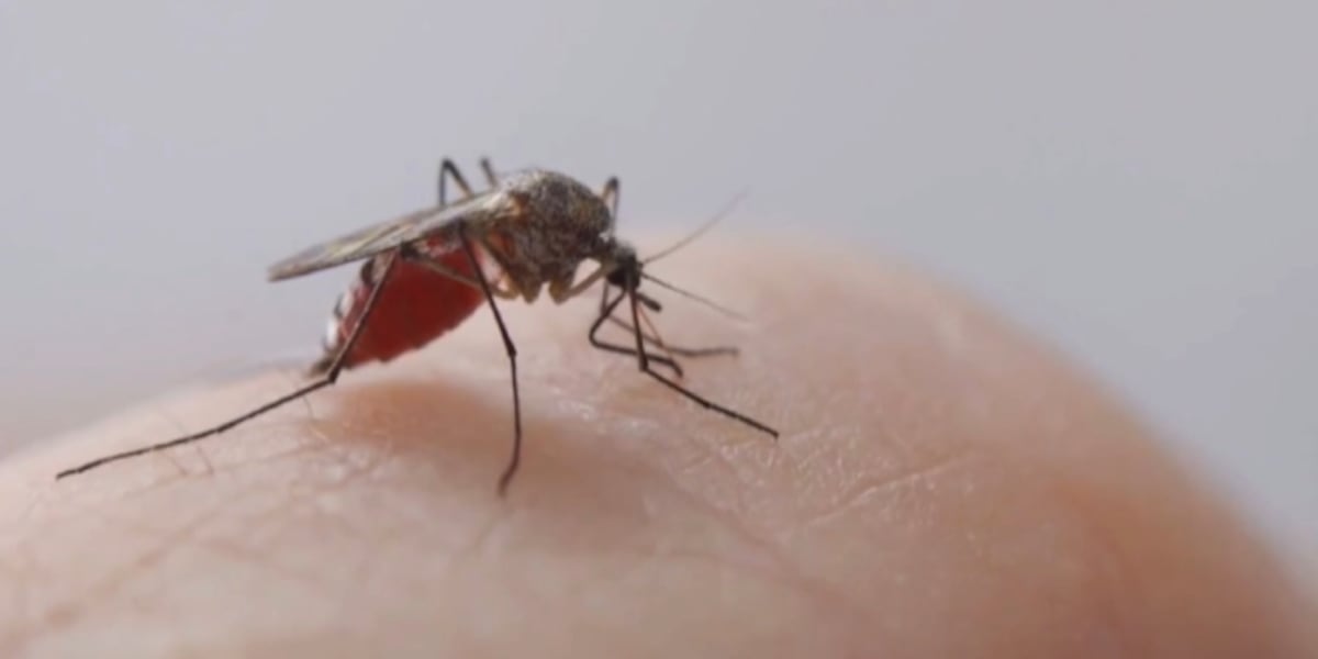 West Nile Virus common in North Dakota wilderness