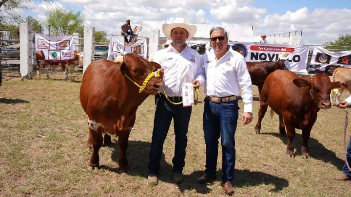 “Novillo Gordo”: un concurso inédito que lanzaron en Tamaulipas para premiar el esfuerzo de los ganaderos