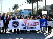 Diputada Marzán y director del Hospital de Quilpué se querellan por muerte de «Negrito», perro comunitario baleado por detective