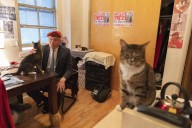Trump dismisses cat-loving NYC Republican candidate for mayor as ‘not exactly prime time’ – Winnipeg Free Press