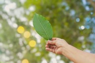 UANL: ¿Es rentable invertir en sustentabilidad?