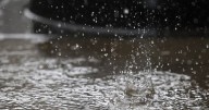 ¿Se termina la lluvia?: Cuántos milímetros de agua caída dejaron las precipitaciones