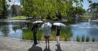 UNM has no ducks to give in reopening of pond
