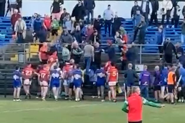 Players and fans involved in ugly brawl during Wicklow club match