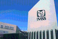 Funcionaria del IMSS se refiere a niños con cáncer y discapacidad como “fauna carismática”