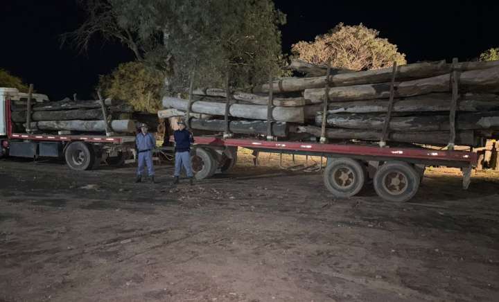 Secuestraron 26 toneladas de quebracho y un arma modificada sin documentación