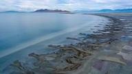 El húmedo origen detrás de las misteriosas ‘islas vivientes’ del Gran Lago Salado