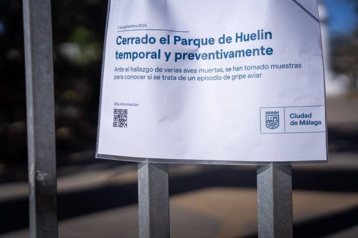 Colectivos de Málaga llevarán a Fiscalía de Medioambiente la aparición de aves muertas