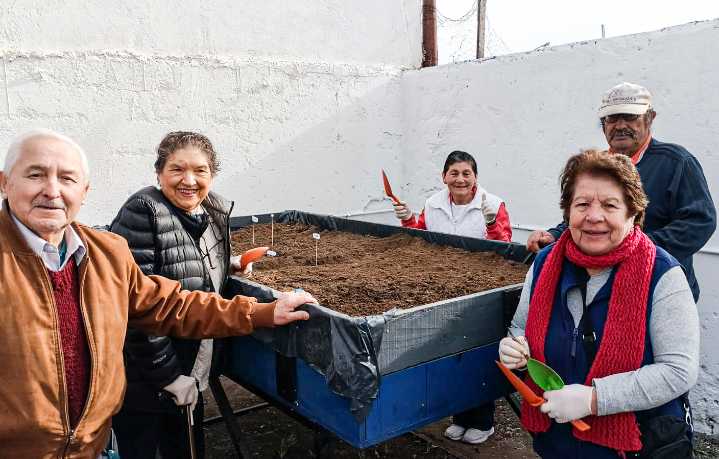 Adultos mayores fortalecen la autosustentabilidad de alimentos con talleres de huerta