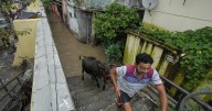 Photos of New Delhi residents on the swollen banks of the Yamuna River