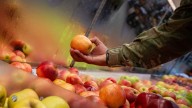 Military commissaries could be privatized under Pentagon plan