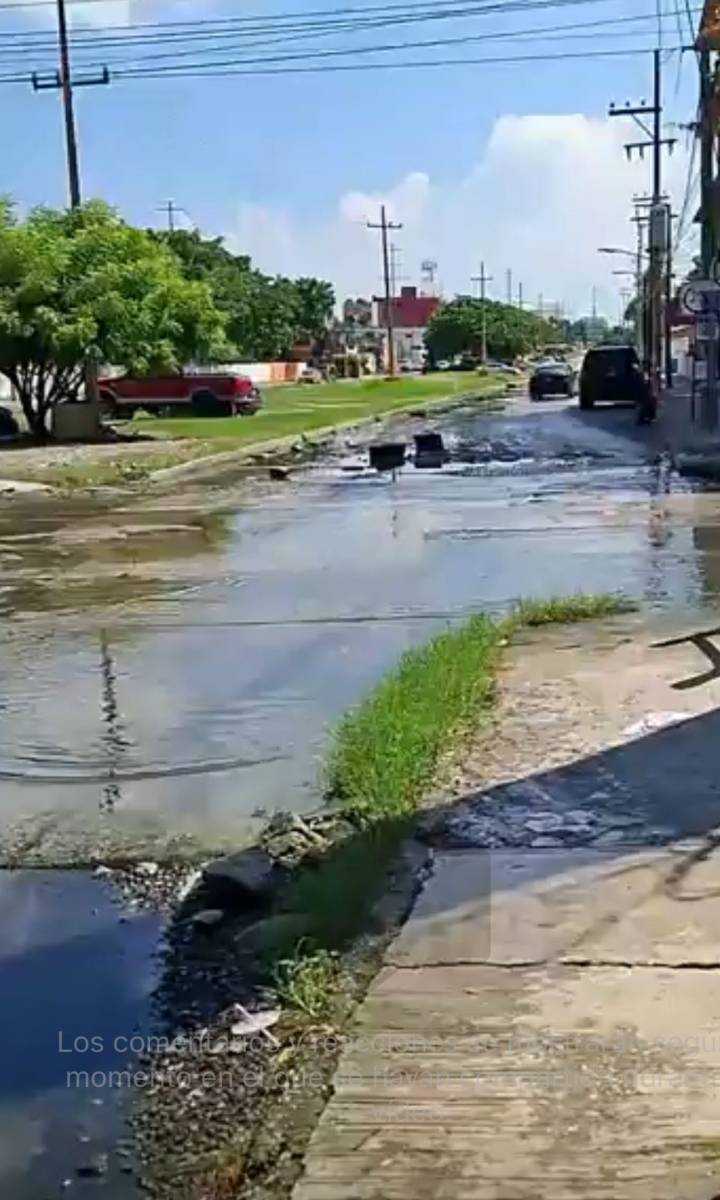 Cumplen tres semanas viviendo entre aguas negras y malos olores
