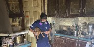 53 dogs, 1 cat removed from poor living conditions in Gibson County