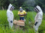 Ecopetrol implementó acuerdos con 46 familias para preservar la biodiversidad en Casanare