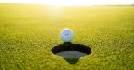 Only 1 area girls golf team remains in state rankings