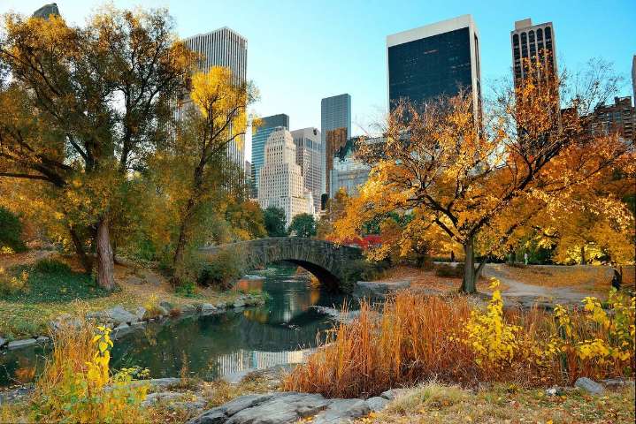 Here’s When Fall Foliage Will Peak In NYC This Year
