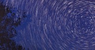 Microorganismos en la atmósfera: ¿Qué es la aerobiología y por qué es clave para entender por qué nos enfermamos?