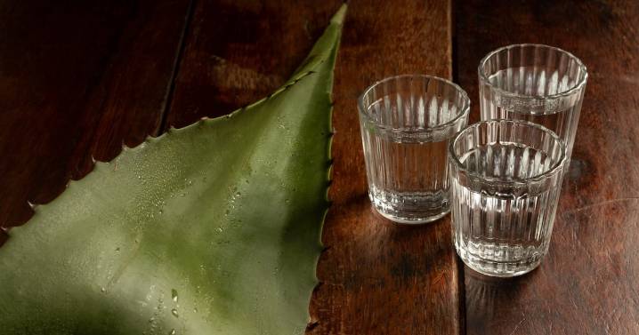 Únete al festival Mundo Mezcal y conoce las tradiciones milenarias de este destilado mexicano