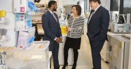 Stroke 'miracle cure' labelled as effective as placebo