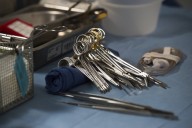 New public dashboard aims to track the fairness of the allocation of organ donations