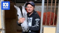 Horse trainer Dwayne Schmidt jailed for raping and impregnating 13yo girl