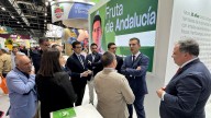 Fruta de Andalucía duplica su actividad en Fruit Attraction para promocionar sus frutos rojos y cítricos con Origen Huelva