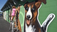 Artist Bergmooser spreads summer love