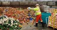 En Chile se pierden 5,2 millones de toneladas de alimentos al año mientras 800 mil personas pasan hambre