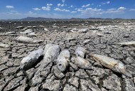 De las inundaciones a la sequía: la ONU advierte de que el ciclo del agua es cada vez más extremo