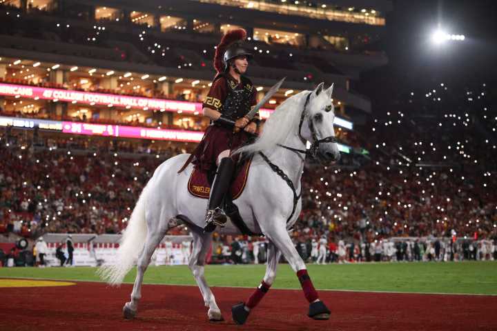 From Ralphie to Uga, live animal mascots inspire fans and create deep connections with their teams