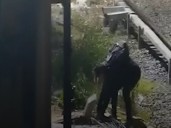 Intento de robo y peligro en las vías del tren Mitre: detuvieron a un hombre y el factor que lo salvó de electrocutarse
