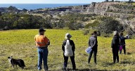 Bombo quarry could host 2000 new homes 