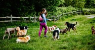 Health alert to anyone visiting parks as experts issue four symptoms of illness