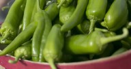 El verdadero chile está en Chihuahua