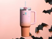Target's home to Stanley's only Halloween tumbler still in stock