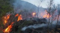 Incendios forestales fueron extinguidos en Madre de Dios, Cajamarca y Apurímac