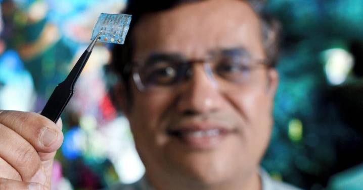 Scientist turns shellfish trash into electronic device