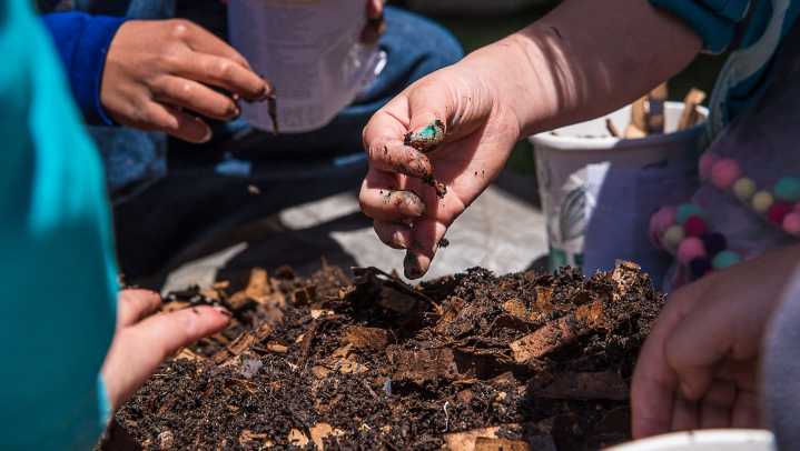 Fort Collins pilot program lowers costs for composting food scraps