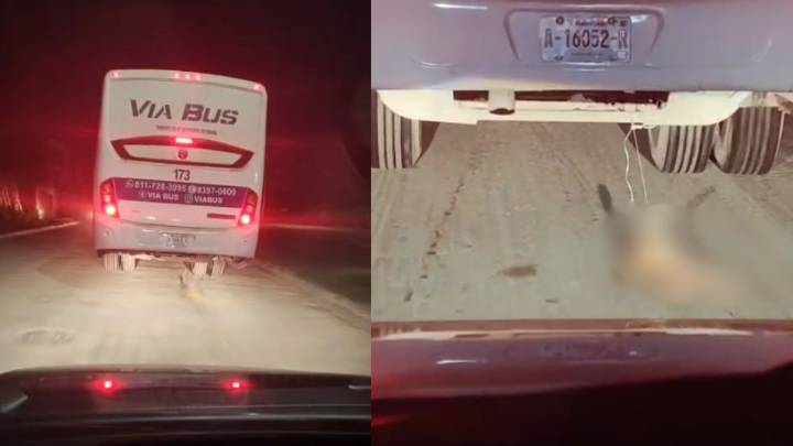 Captan a transporte de personal arrastrando a perrito en Escobedo, Nuevo León