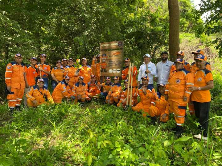 Corpamag y Defensa Civil sembraron mil árboles para restaurar la Sierra Nevada