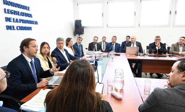 Lucha contra el cibercrimen: tercera reunión informativa sobre el proyecto de ley en la Legislatura