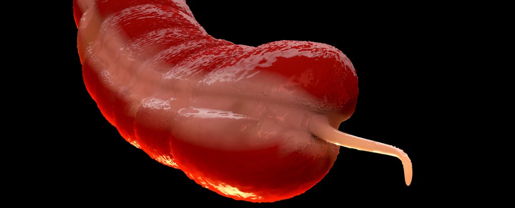 A Forgotten Cancer Is Rising in Young People, And Experts Are Puzzled