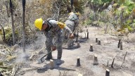 Expertos exigen veda de veinte años a áreas afectadas tras incendio en zona protegida de Holbox